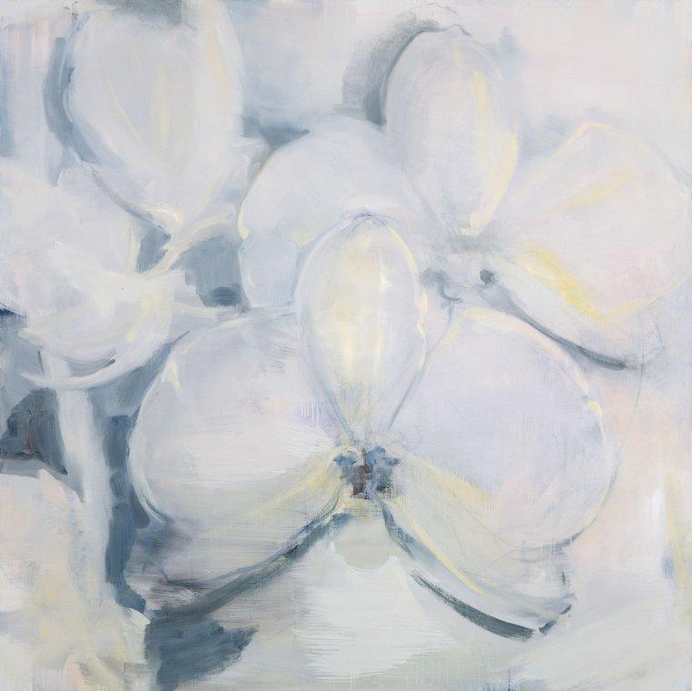 Z cyklu "Orchidea"