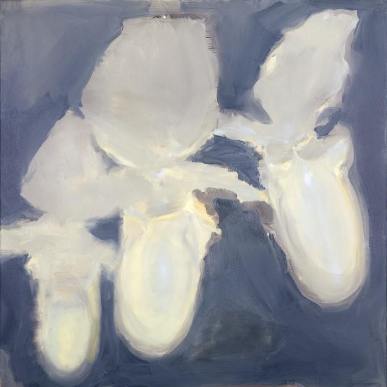 Z cyklu "Orchidea"