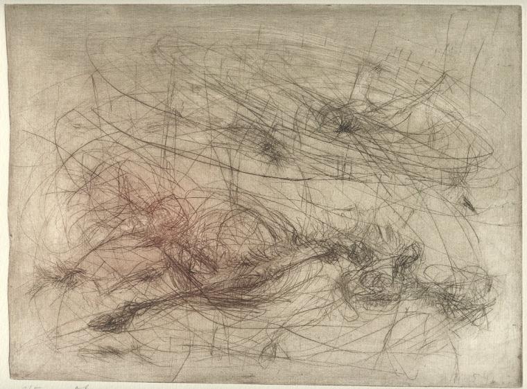 Srna