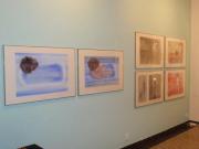 Pohled do expozice