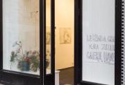Foto z galerie