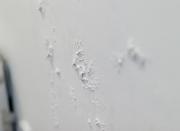 Foto z galerie