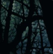Les, 2003 - 2005, celek 200 x 400 cm, olej na sametu (detail)