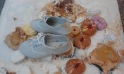Fotografie z vernis�e