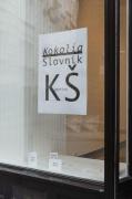 Fotografie z v�stav