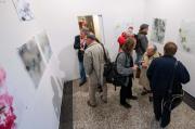 Fotografie z vernis�e