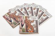 Katalog k v�stav�