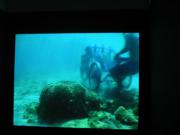 N�v�t�va Haifa Museum of Art