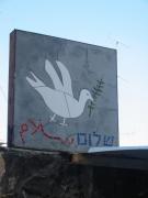 N�v�t�va Tour of the Coexistence Walks ve Wadi Nisnas