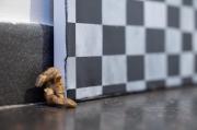 Fotografie z expozice