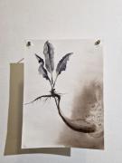 Marie Ladrov�: Materia