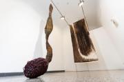 Marie Ladrov�: Materia