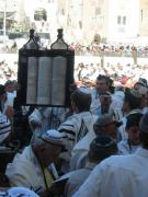 Dal�� fotografie z Izraele