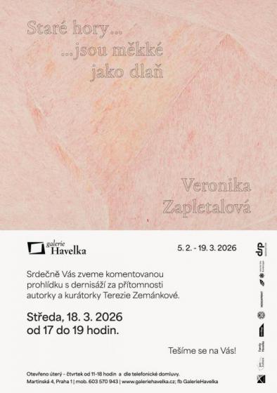 Pozv�nka na komentovanou prohl�dku