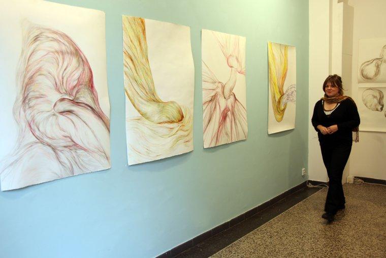 Pohled do expozice