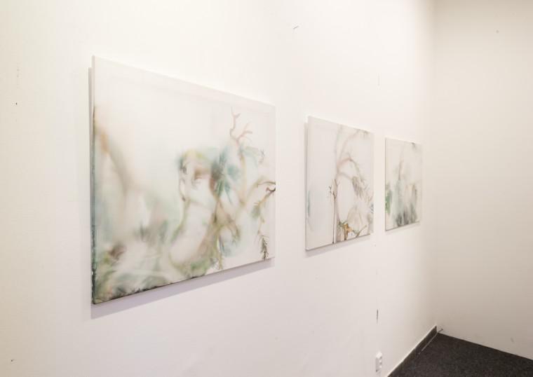 Foto z galerie