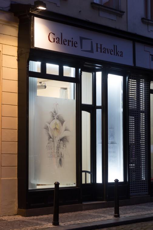 Foto z galerie