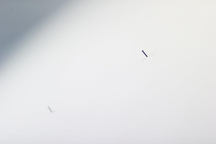 Fotografie z v�stavy