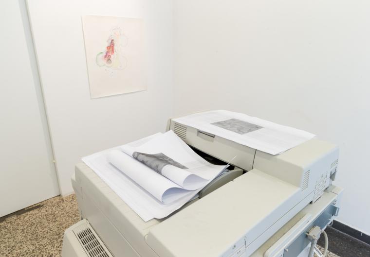 Fotografie z v�stavy