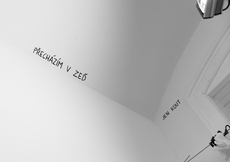 Fotografie z v�stavy