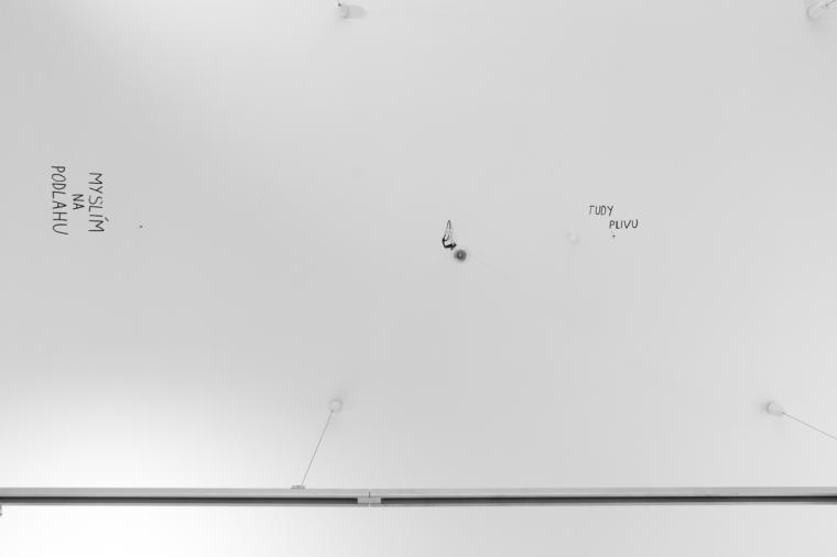 Fotografie z v�stavy