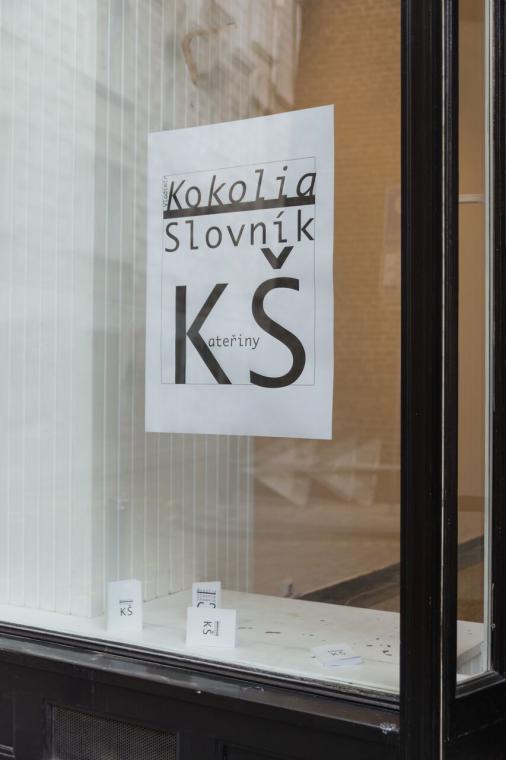 Fotografie z v�stav