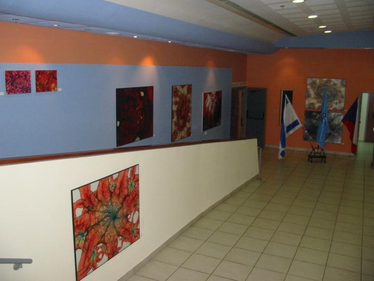 Fotografie z v�stavy a z p�edstaven�
