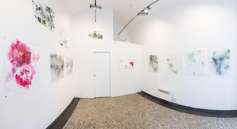 Fotografie z expozice
