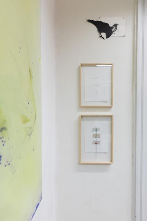 Fotgrafie z expozice