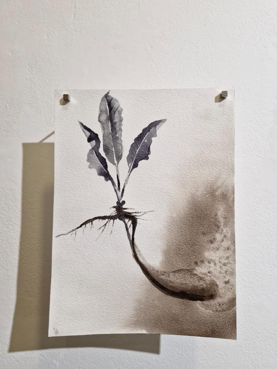 Marie Ladrov�: Materia