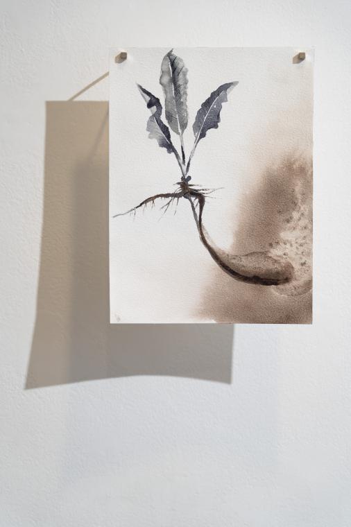 Marie Ladrov�: Materia