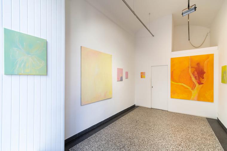 Fotografie z expozice
