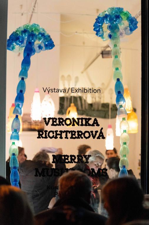 Fotografie z verni��e