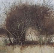Bushes II