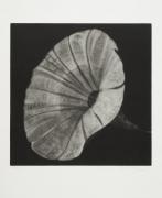 From the Bodies cycle - Bindweed