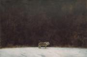 From the Wings Cycle: A Wolf