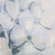 From the Orchids cycle