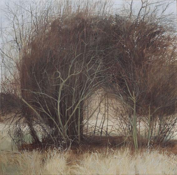 Bushes II