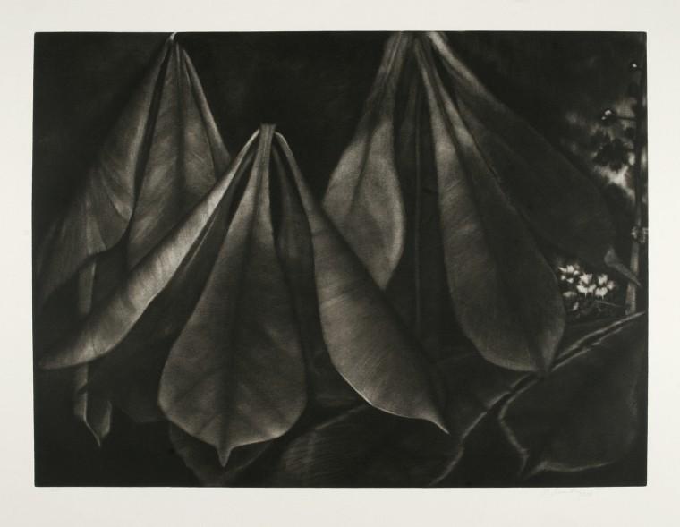 Chestnuts