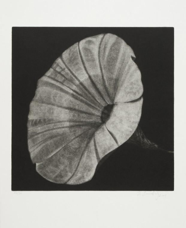 From the Bodies cycle - Bindweed