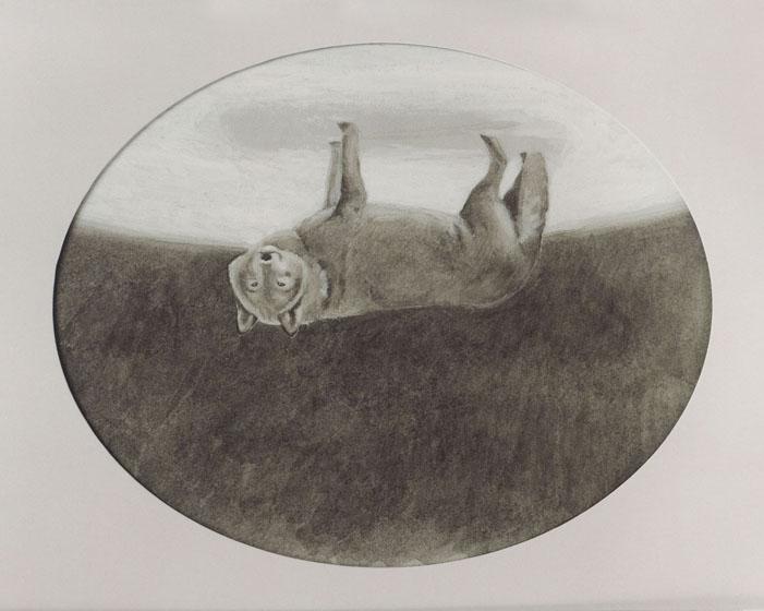 A Wolf