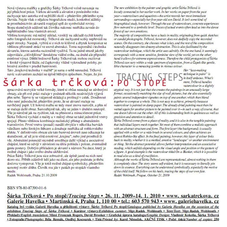 Introduction text