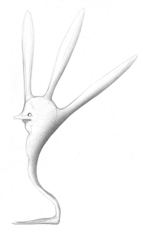 �Drawings from the New World� Petr Nikl