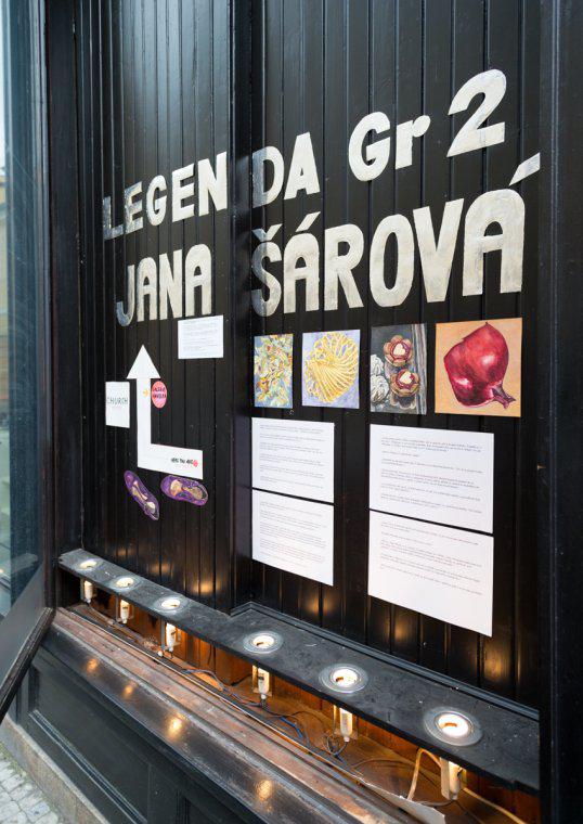 Photo from exhibition