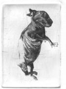 Rabbits (blundering)
