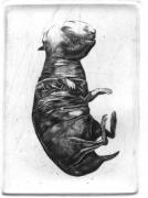 Rabbits (speaking)