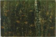 Nettles