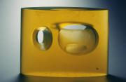 Yellow Camera