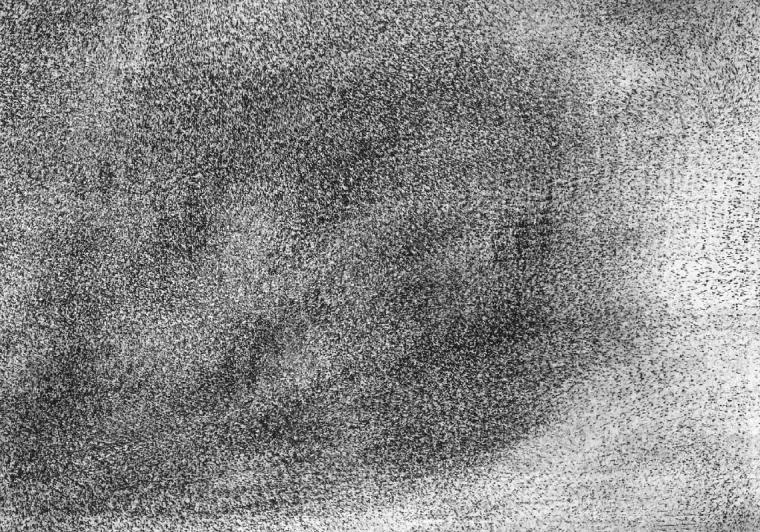 Swarms I.